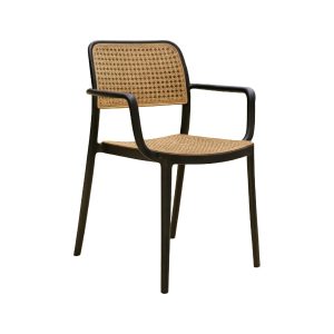 Silla Con Posabrazos Clasica Negro